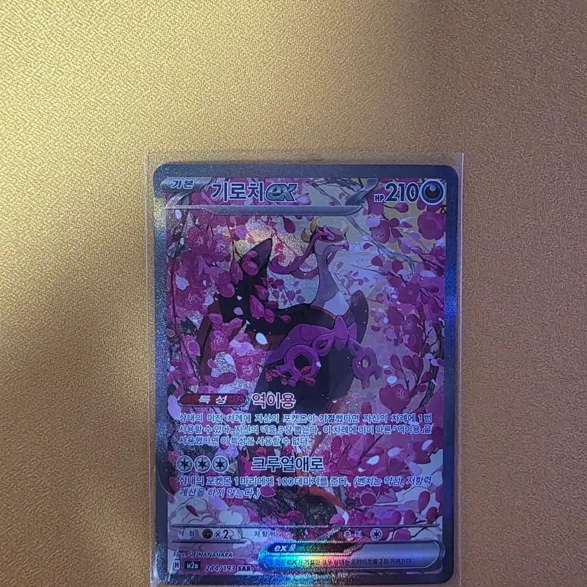 [BUNJANG] Pokemon Card Groudon SAR / 포켓몬카드 기로치 SAR 반택 1.5 저렴하게 가져가세요