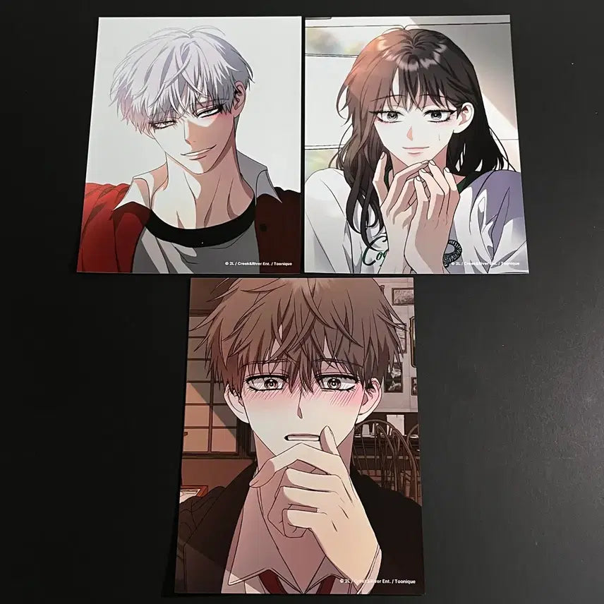 [BUNJANG] Dreaming Freely Large Size Bundle Set / 꿈에서 자유로 프박 큰사이즈 일괄