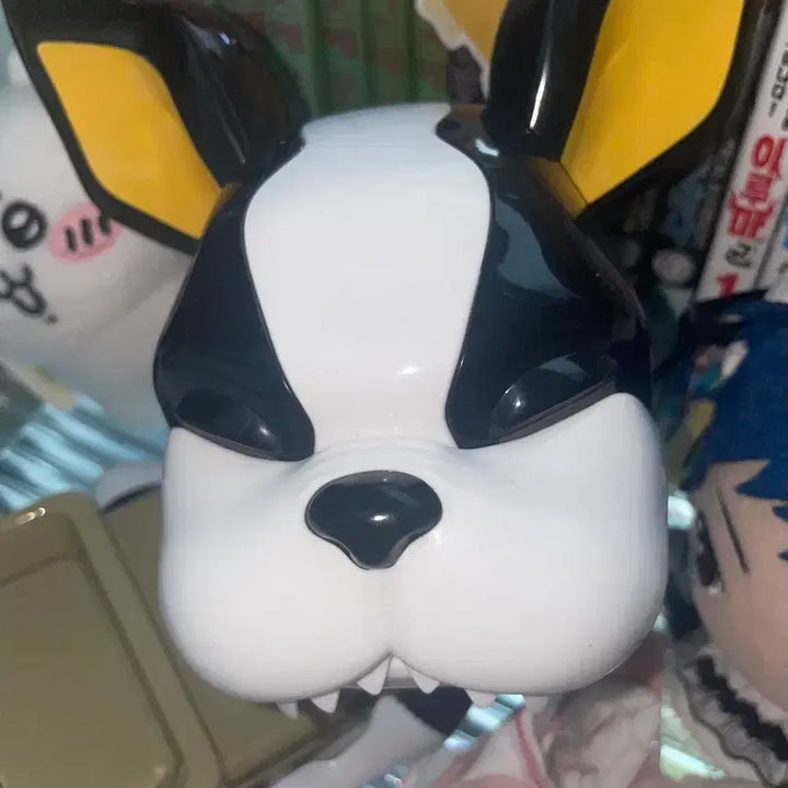 [BUNJANG] JoJo&
