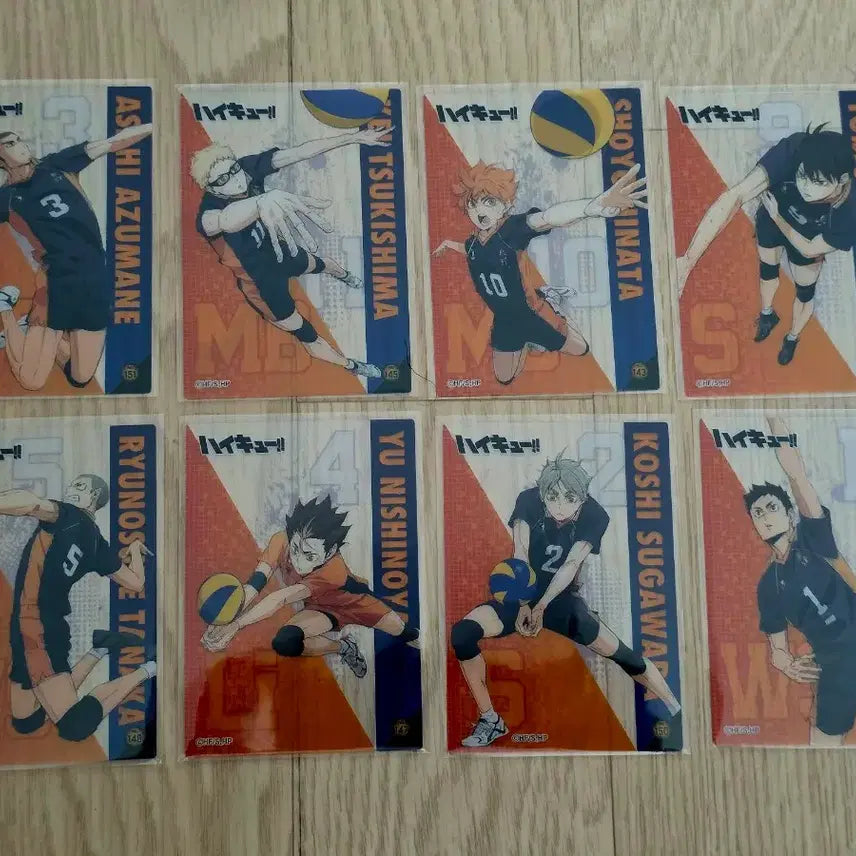 [BUNJANG] Haikyuu!! Clear File Bundle Set / 하이큐 클리어 일괄판매