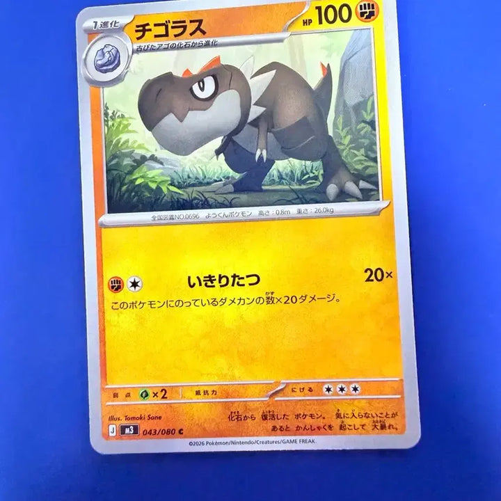 [BUNJANG] Pokemon Card Tigholas Japanese / 포켓몬카드 티고라스 일판 카드