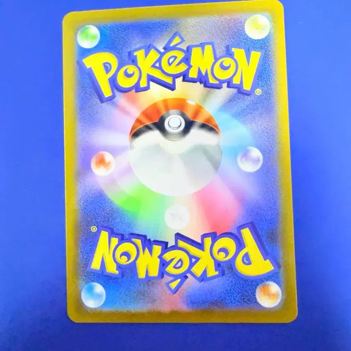[BUNJANG] Pokemon Card Tigholas Japanese / 포켓몬카드 티고라스 일판 카드