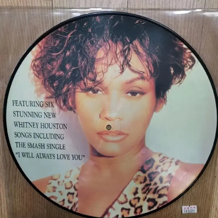 [BUNJANG] Whitney Houston Picture Disc LP / 휘트니 휴스턴 픽쳐 디스크 LP