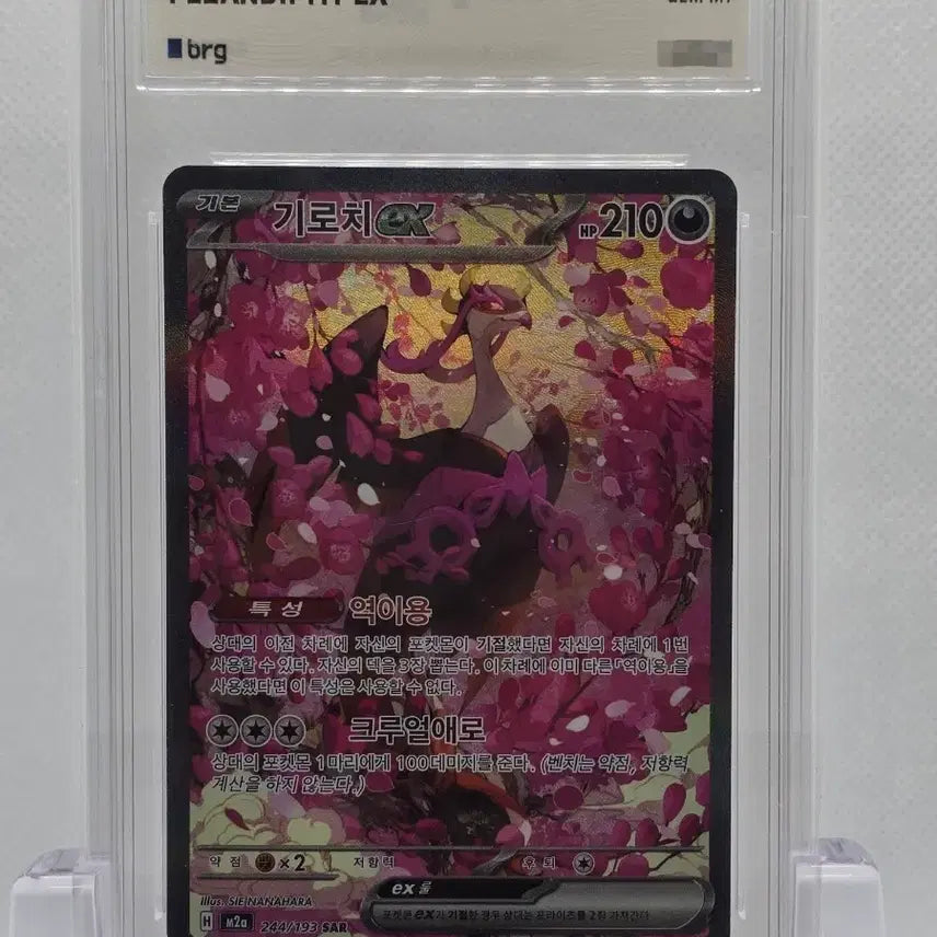 [BUNJANG] Pokemon Card Groudon ex SAR GEM MT 10 / [BRG 10] 포켓몬카드 기로치 ex SAR