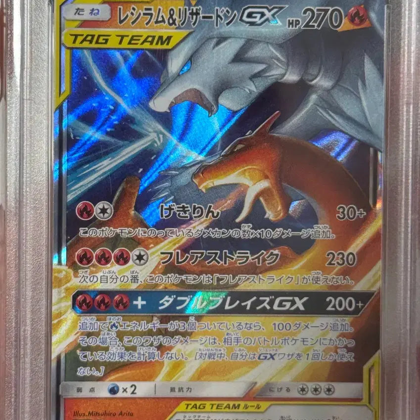 [BUNJANG] Charizard Blastoise PSA 10 Graded Card / 리자몽 레시라무 psa10 판매합니다