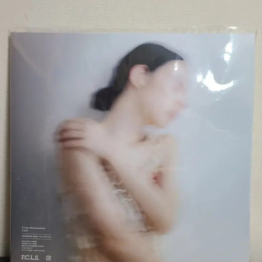 [BUNJANG] Yangmunhak Hitsujibungaku 5th Album 12hugs Unsealed LP / 양문학 히츠지분가쿠 5집 12hugs 미개봉 lp 팝니다
