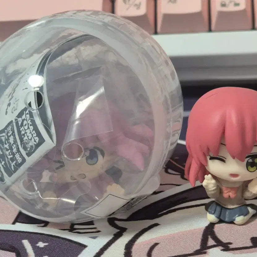 [BUNJANG] Bocchi the Rock! Bocchi &amp; Kita Gacha Figure Set / 봇치 꽈당 가챠 피규어 키타 망고박스 봇치더록 봇치더락