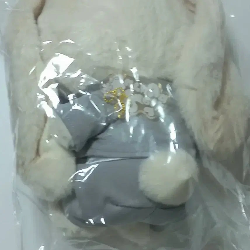 [BUNJANG] Detective Conan Furuya Rei Bunny Plush Doll (Sealed) / 미개봉 명탐정 코난 버니 토끼 인형 후루야 레이