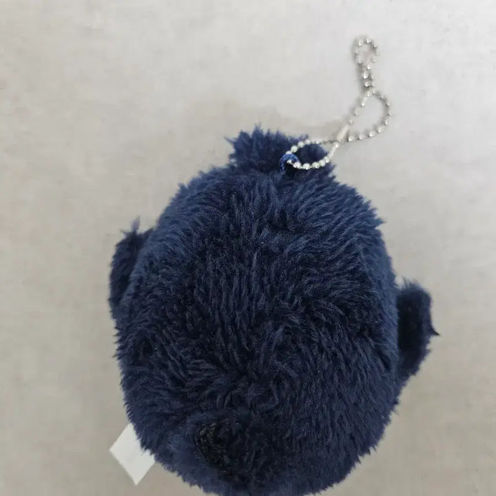 [BUNJANG] Haikyuu!! Kageyama Tobio Taffy Plush Doll / 하이큐 카게야마 타피누이 인형