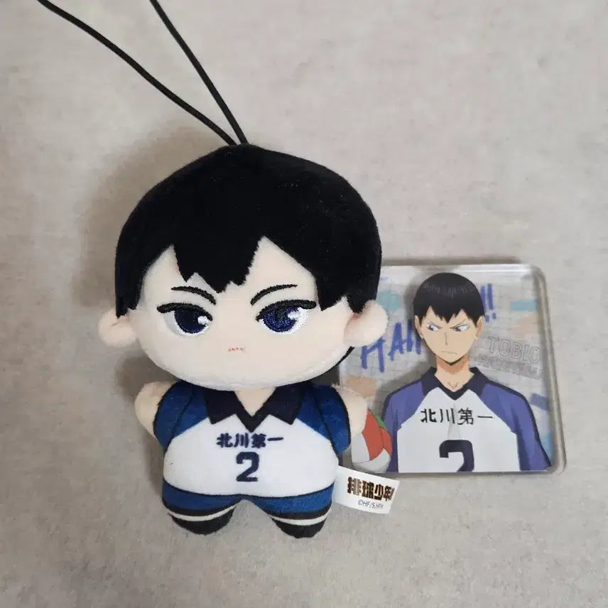 [BUNJANG] Haikyuu!! Kageyama Tobio Nui &amp; Acrylic Block Bundle Set / (일괄) 하이큐 카게야마 nullset 누이, 아크릴블럭