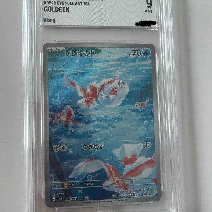 [BUNJANG] Pokemon Card Conchi AR (Japanese Version) / 포켓몬카드 콘치 AR (일판) (brg9)