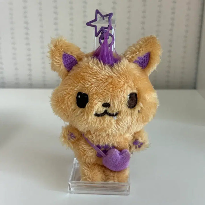 [BUNJANG] NCT WISH Wishdol Bundle Seonni Bubble Cat Kuri Dengtrieber / 엔시티 위시 오리지널 위시돌 일괄 시오닝 버블냥 쿠리 댕트리버