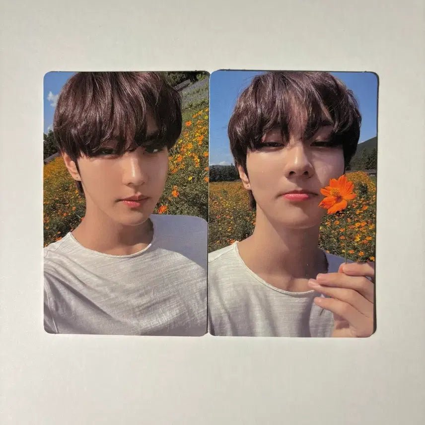 [BUNJANG] ENHYPEN Jungwon Orange Blood Weverse Album Photocard Bundle Set / 엔하이픈 정원 오렌지블러드 위버스 앨범 포카 2장 일괄