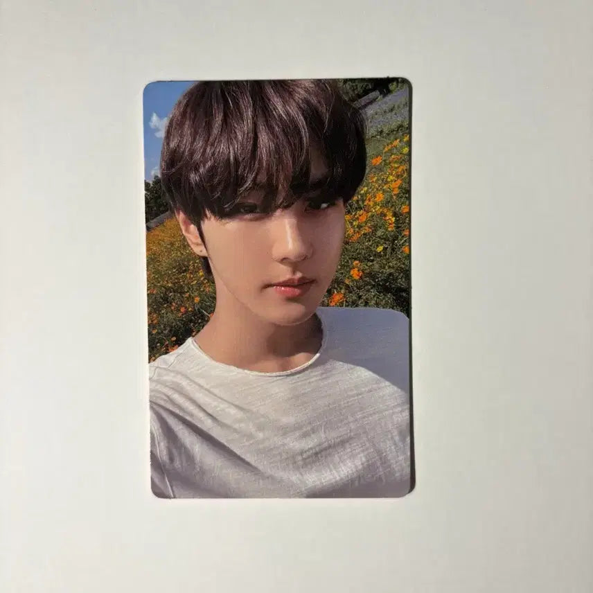 [BUNJANG] ENHYPEN Jungwon Orange Blood Weverse Album Photocard Bundle Set / 엔하이픈 정원 오렌지블러드 위버스 앨범 포카 2장 일괄