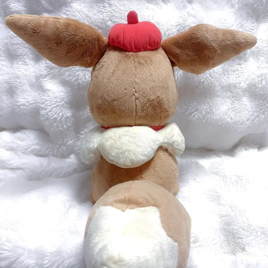 [BUNJANG] Pokemon Japanese Ichiban Kuji Prize A Eevee / 포켓몬 일본한정 이치방쿠지 A상 이브이