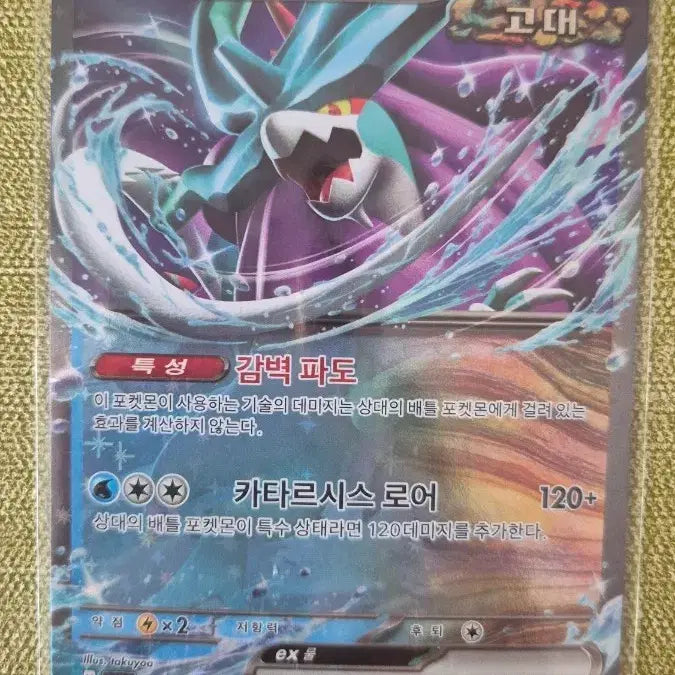 [BUNJANG] Pokemon Card - Archie&