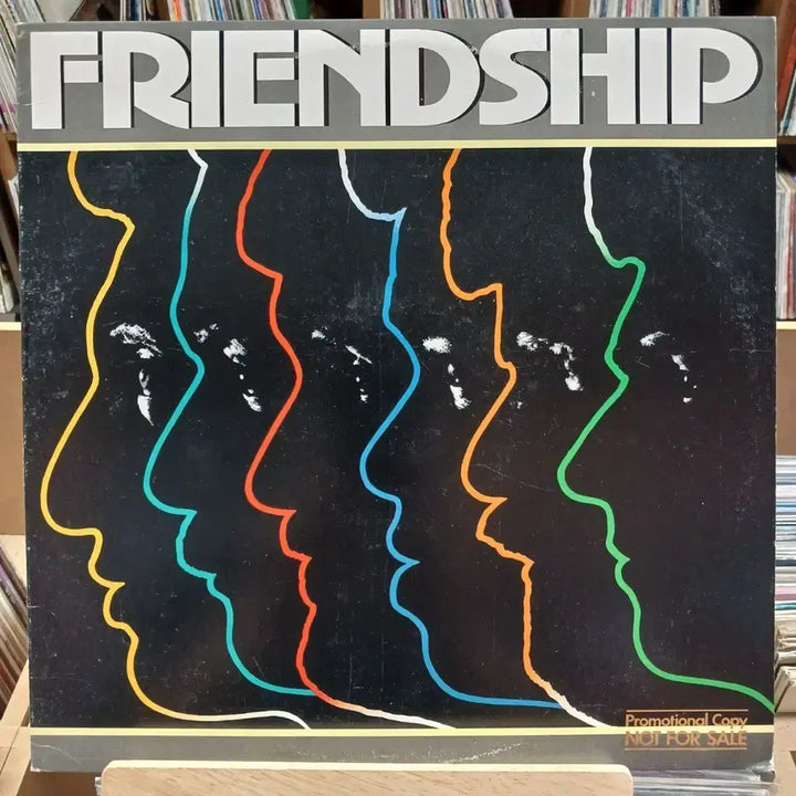 [BUNJANG] Friendship Fusion Jazz LP / 퓨전 재즈 FRIENDSHIP LP
