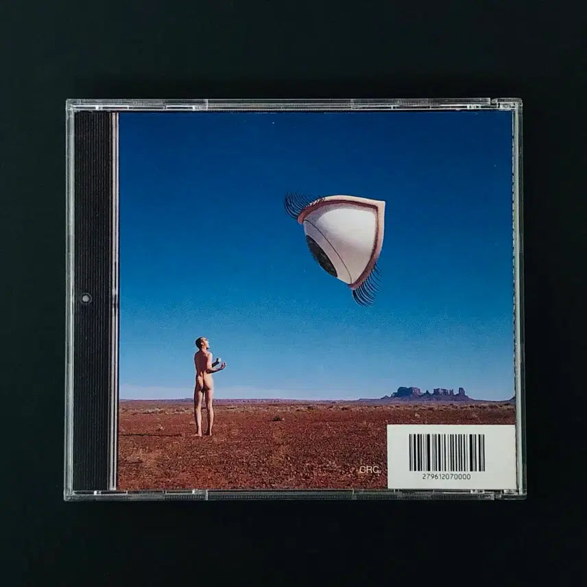 [BUNJANG] The Cranberries Bury the Hatchet CD (1999) / [CD중고] 크랜베리스 (The Cranberries) / Bury the Hatchet