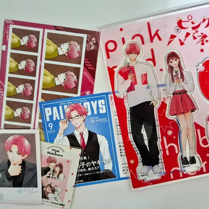 [BUNJANG] Pink and Habanero Girufes Acrylic Goods Bundle Set / 핑크와 하바네로 걸페스 아크릴 굿즈 일괄