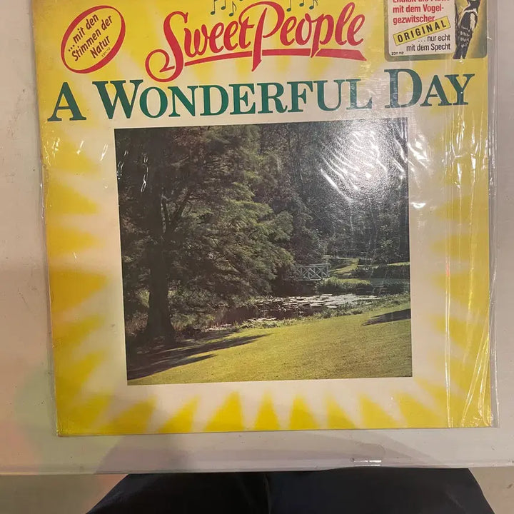 [BUNJANG] Rare 1990s LP Records (Leonard Cohen, Phoebe Cates, Diana Ross) / 레너드코엔, 피비케이츠, 다이애나로스등 1990년대 희귀판 LP / 개별가격