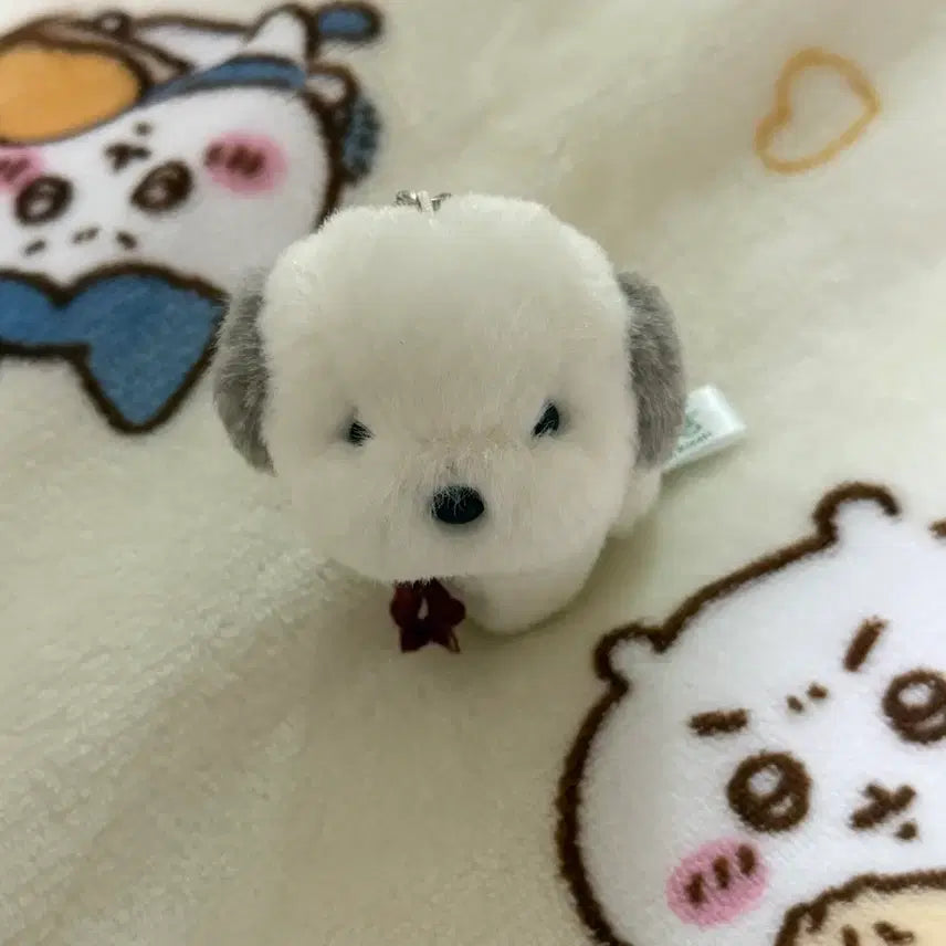 [BUNJANG] Umekichi Dog Plush Charm White / 우메키치 강아지 인형 키링 화이트