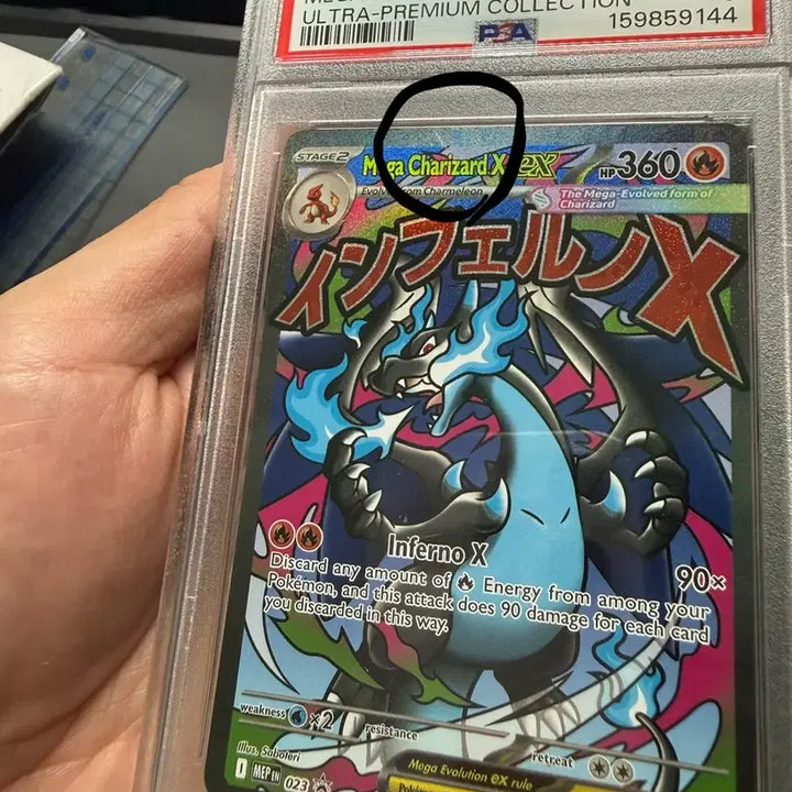 [BUNJANG] Pokemon Mega Charizard X ex Full Collection PSA 9 Graded Card / 북미판 포켓몬 메가 리자몽 X ex 풀컬렉션 PSA 9