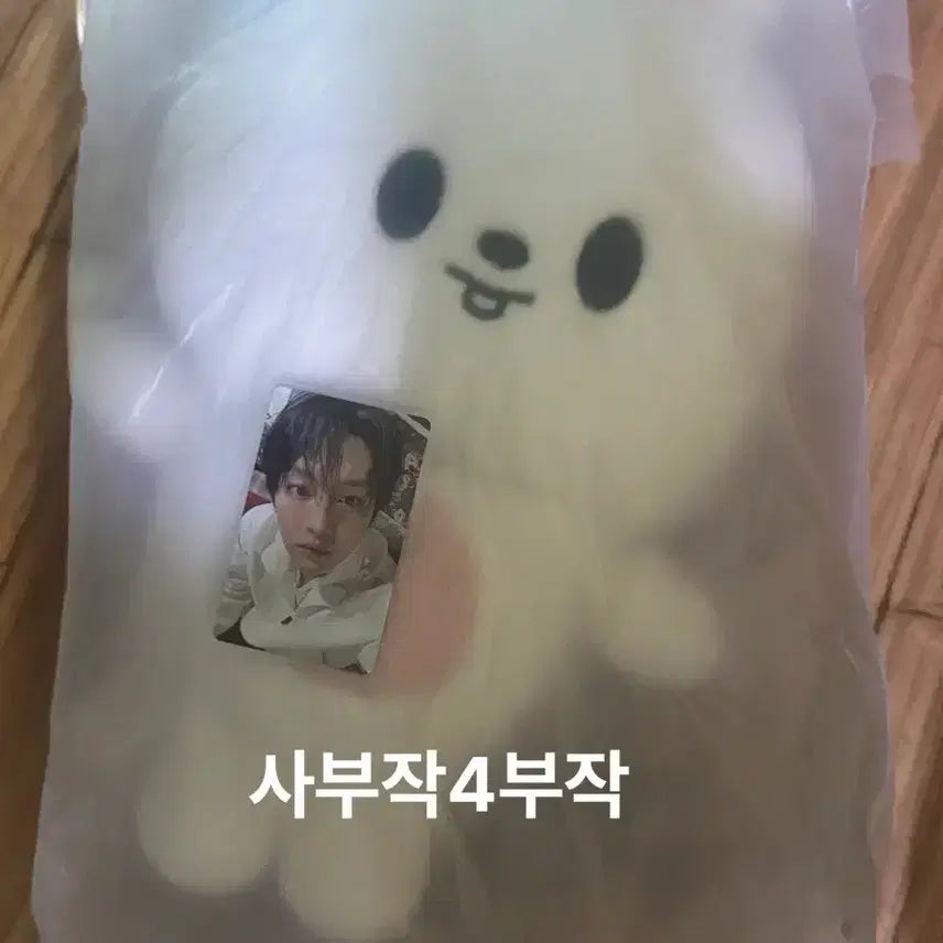 [BUNJANG] Stray Kids Lee Know Leebit Plush Backpack Photocard Included / 스키즈 팬미팅 엠디 리노 리빗 스키주 플러시 백팩 가방 포카포함