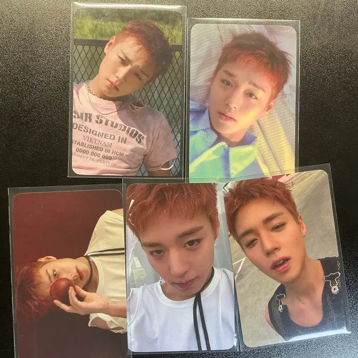 [BUNJANG] Park Jihoon Photocard Bundle Set / 박지훈 플브 포카 세트 일괄 양도 판매