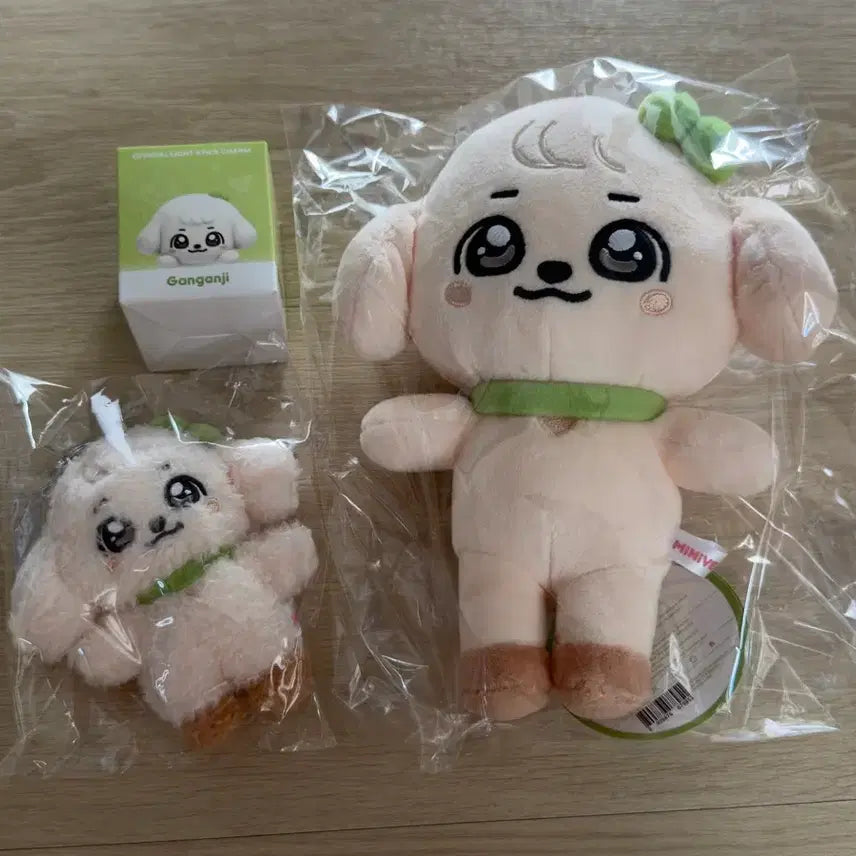 [BUNJANG] IVE MiniB Pop-Up Set (Yujin, Gaeul) / 아이브 ive 미니브 팝업 유진 강안지 셋트