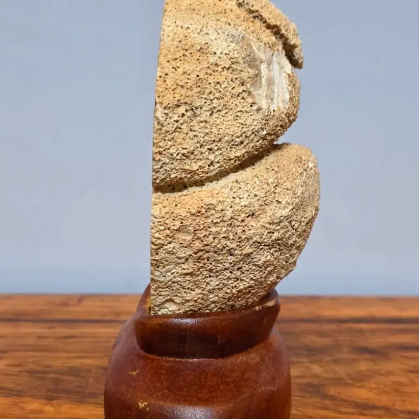 [BUNJANG] Brazilian Agate Mineral Specimen with Positive Energy / 26073045 좋은 에너지를 주는 영롱한 브라질 마노석 광물 수석 팝니다