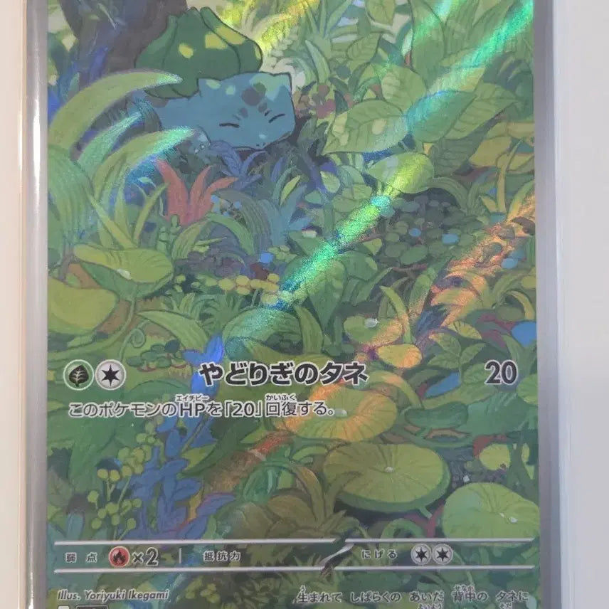 [BUNJANG] Pokemon Card 151 (sv2a) Bulbasaur AR 166/165 / [일판/A급] 포켓몬 카드 151(sv2a) 이상해씨 AR 166/165