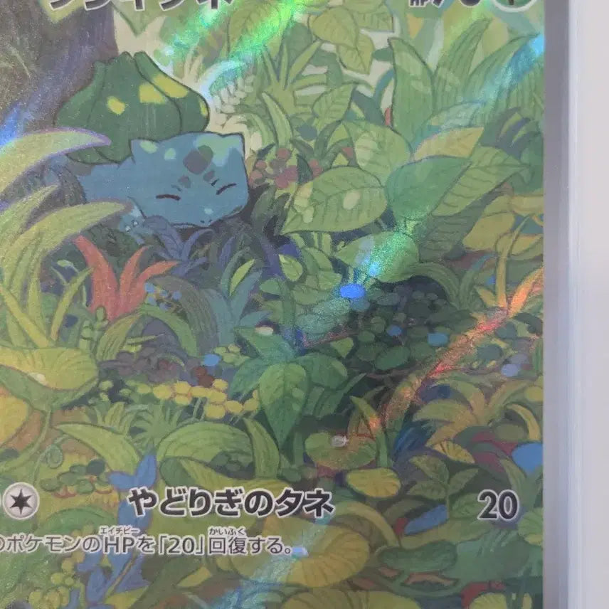 [BUNJANG] Pokemon Card 151 (sv2a) Bulbasaur AR 166/165 / [일판/A급] 포켓몬 카드 151(sv2a) 이상해씨 AR 166/165