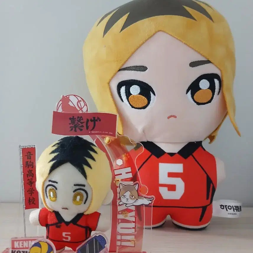 [BUNJANG] Haikyuu!! Kenma Plush Doll / 하이큐 켄마 누이구루미