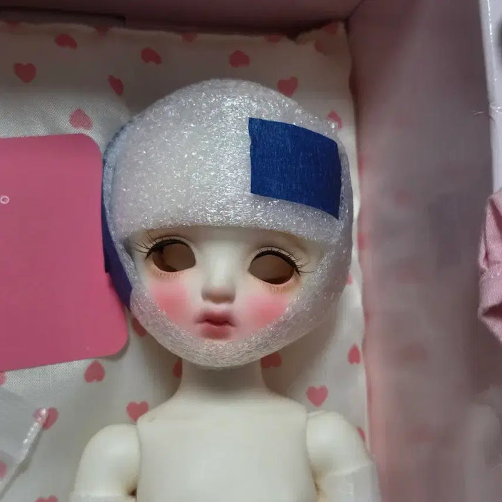 [BUNJANG] Miyadoll USD Chichi White Body + Linashushu Snow Kitten Cream Default Outfit / 미야돌 usd 치치 미백 본체+옷,가발구체관절인형