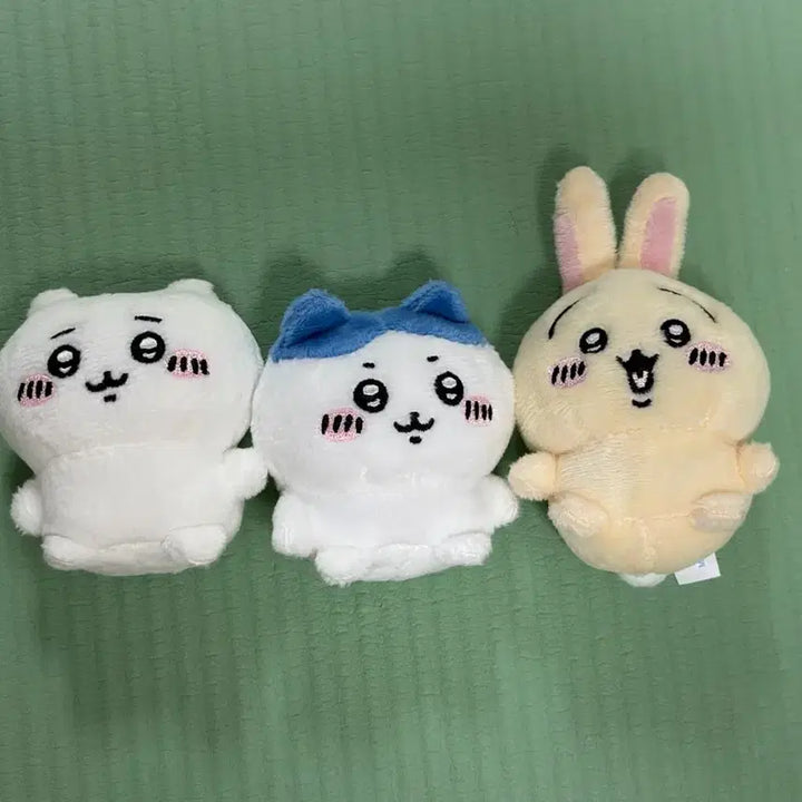 [BUNJANG] Chiikawa Kitanklub Sitting Plush / 치이카와 키탄클럽 앉은누이 팔아요