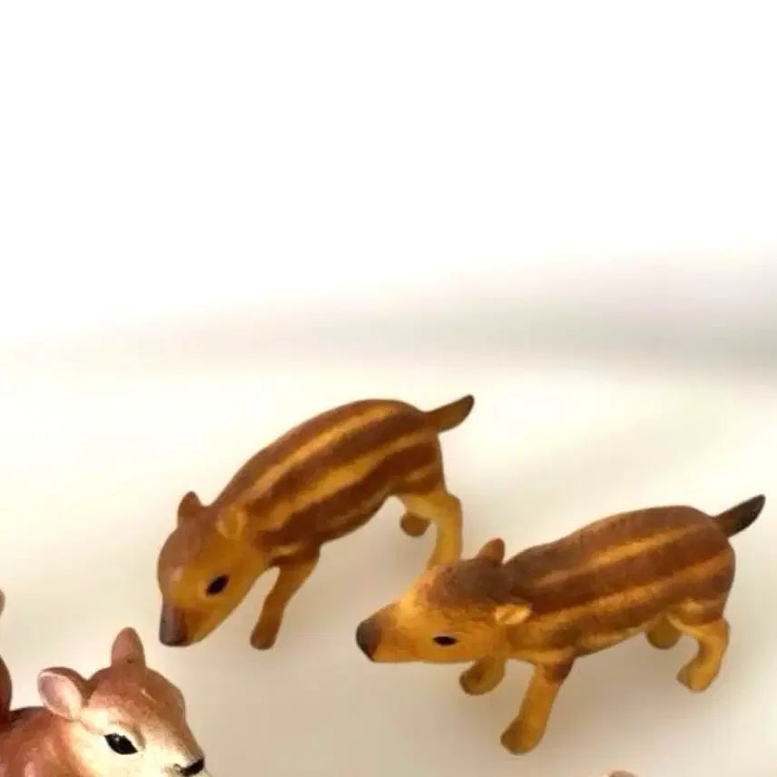 [BUNJANG] Re-Ment Affectionate Forest Story Set 8 Baby Wild Boar (Sealed) / [미개봉] 단종 리멘트 다정한 숲 이야기 8번 아기멧돼지