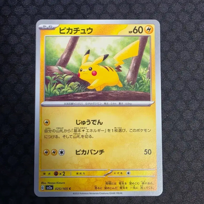 [BUNJANG] Pikachu Walking Card / 산책 피카츄