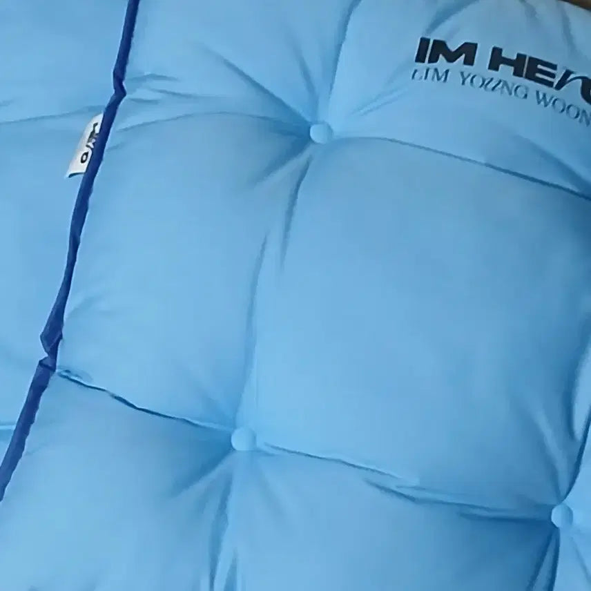 [BUNJANG] Im Hero IM HERO Cushion Blue (Set of 2) / 임영웅 IM HERO 쿠션 블루 2개