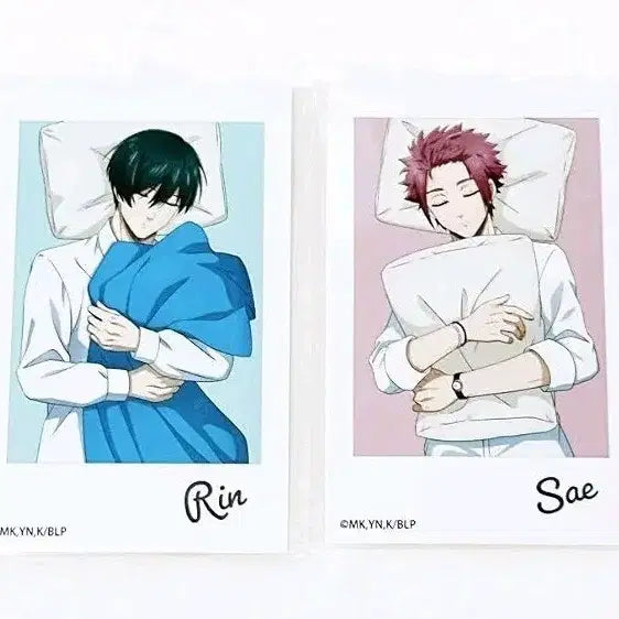 [BUNJANG] Blue Lock Isagi Yoichi, Itoshi Rin, Itoshi Sae Pashacard Bundle Set / 블루록 이토시 린 이토시 사에 파샤 일괄