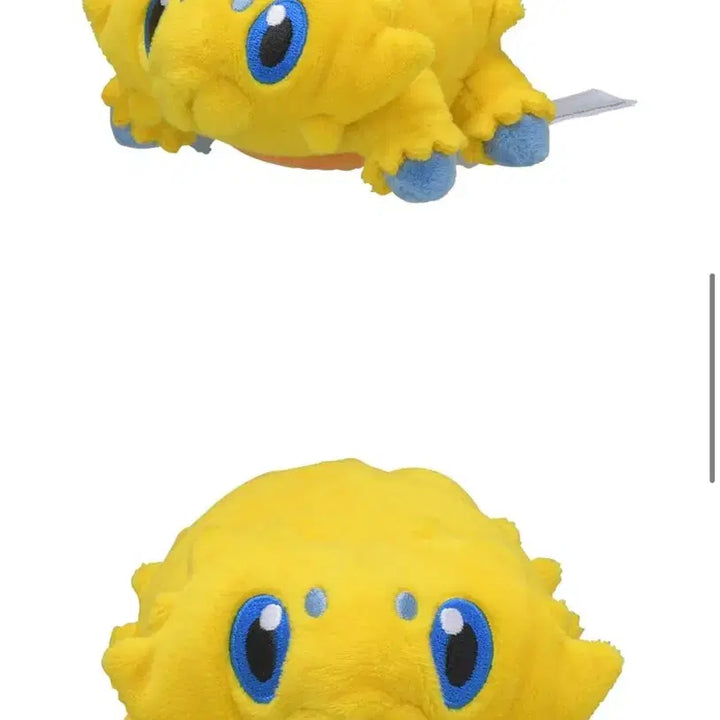 [BUNJANG] Pokemon Arkoos, Marill, Scraggy Bundle Set / [미개봉] 파쪼옥, 아르세우스, 마릴 일괄 판매 (품절 상품)