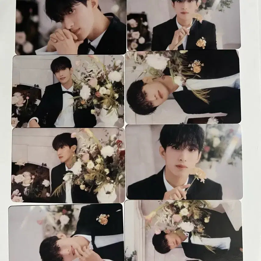 [BUNJANG] SEVENTEEN Dokyeom Bundle Set Photocard / 세븐틴 도겸 포토카드 일괄