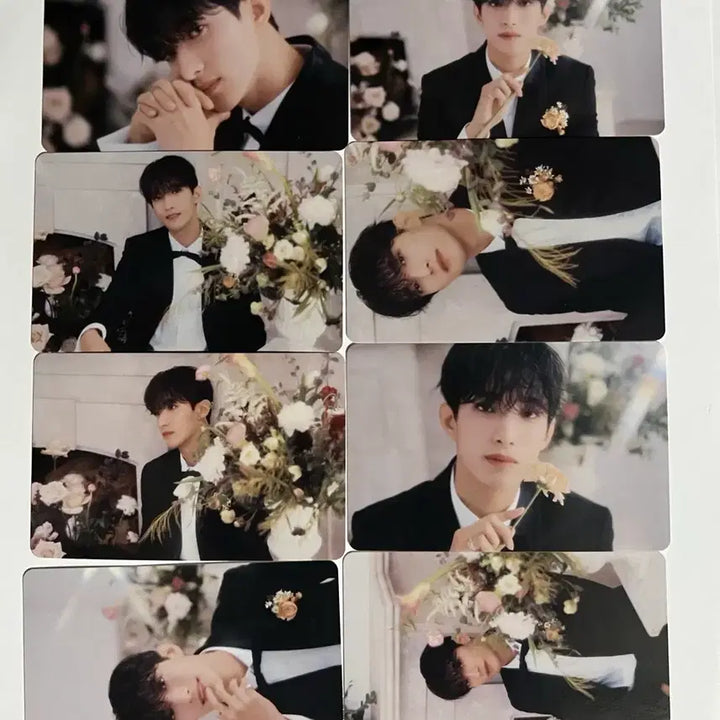 [BUNJANG] SEVENTEEN Dokyeom Bundle Set Photocard / 세븐틴 도겸 포토카드 일괄