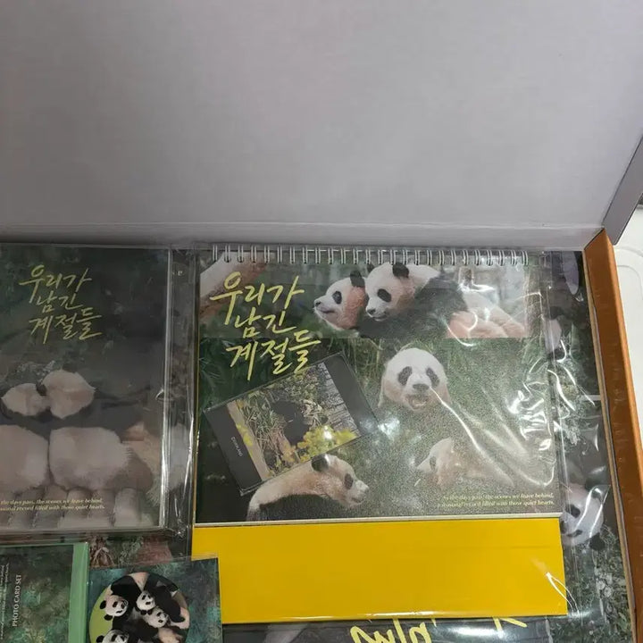 [BUNJANG] Everland Bao Family 2025 Wall Calendar Set / 에버랜드 푸바오 바오패밀리 시그 +25 벽걸이달력 덤