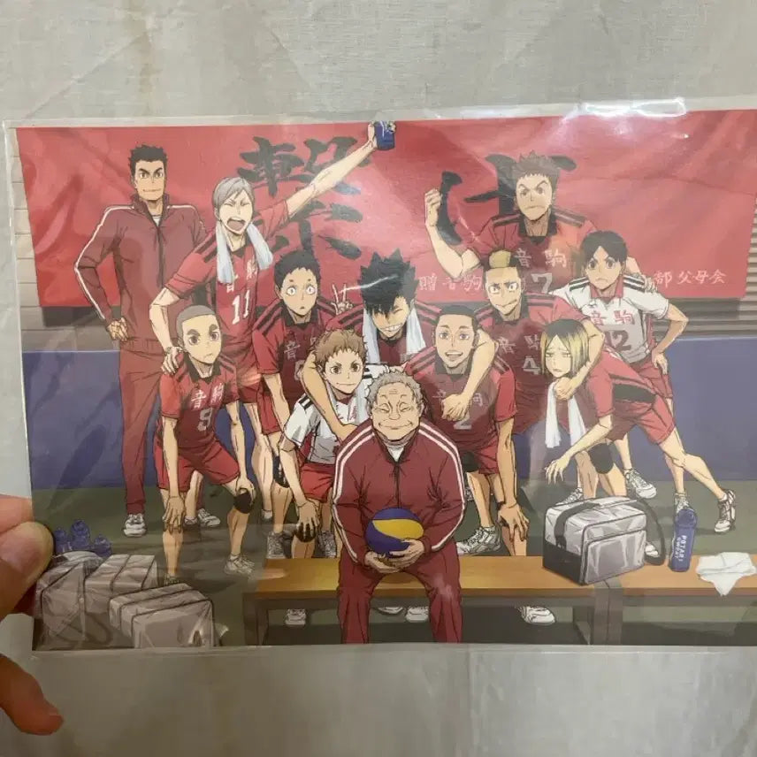 [BUNJANG] Haikyuu!! The Dumpster Battle A5 Clear File / 하이큐 쓰레기장의 결전 특전((택비포함가격))