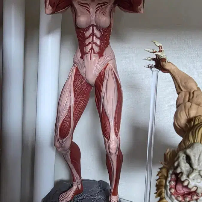 [BUNJANG] Ichiban Kuji Attack on Titan Figure A Prize / 제일복권 진격의 거인 애니a상 박스0