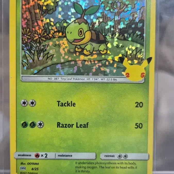 [BUNJANG] Pokemon 25th Anniversary Generation I Generation 1 Turtwig Holo Card 4/25 / [포켓몬카드 북미] 25주년 모부기 홀로카드 4/25