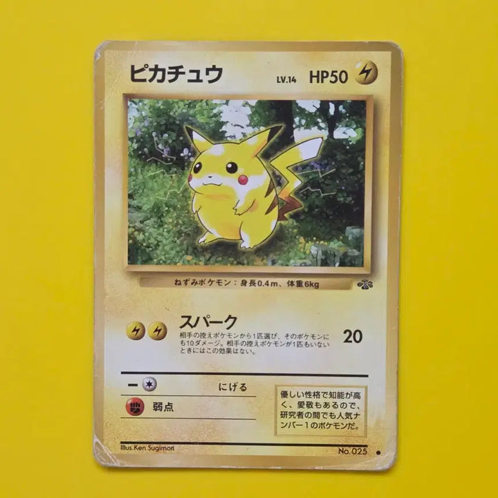 [BUNJANG] Pokemon Japanese Jungle Pikachu Card - Early Japanese Edition / 포켓몬카드 일판 정글피카츄 초기 일본판 소장용 앨범용