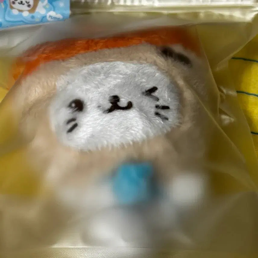 [BUNJANG] NCT WISH Yushi Original Wishdoll Bubble Cat Plush / 엔시티위시 오리지널 위시돌 버블냥