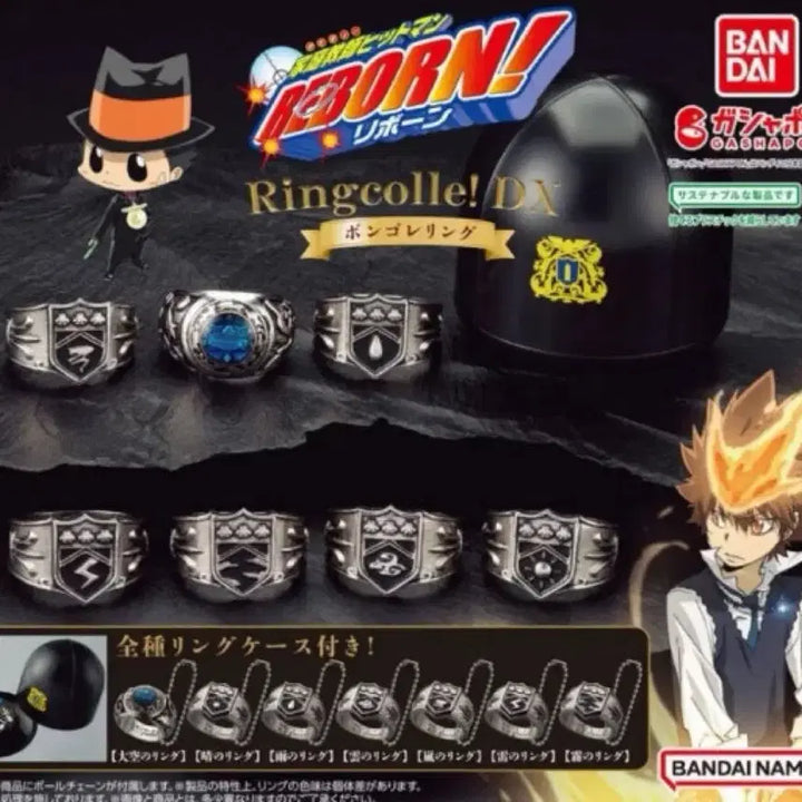 [BUNJANG] Katekyo Hitman Reborn! Vongola Ring Lightning / 가정교사 히트맨 리본 본고레링 번개