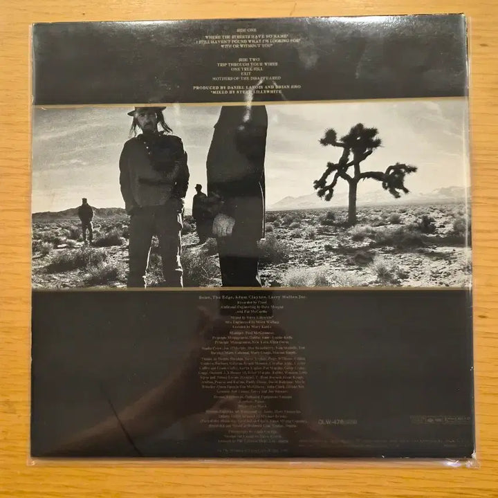 [BUNJANG] U2 LP Record / u2 lp